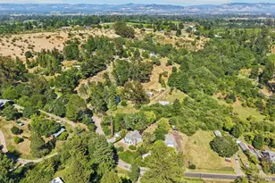 2087 Blucher Valley Rd, Sebastopol, CA 95472 - Photo 62