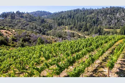 0 Diamond Mountain Road, Calistoga, CA 94515 - Photo 2