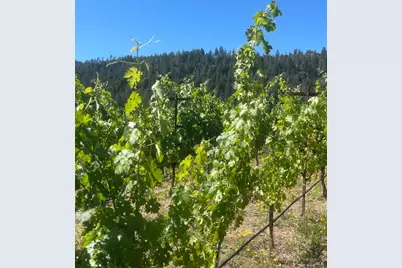 0 Diamond Mountain Road, Calistoga, CA 94515 - Photo 10