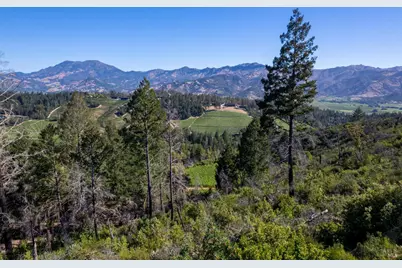 0 Diamond Mountain Road, Calistoga, CA 94515 - Photo 14