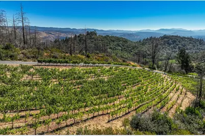 2910 Spring Mountain Road, Saint Helena, CA 94574 - Photo 4