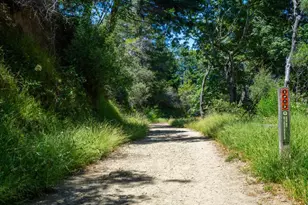 10 Fire Rd, Larkspur, CA 94939 - Photo 32