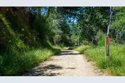 10 Fire Road, Larkspur, CA 94939 - Photo 30
