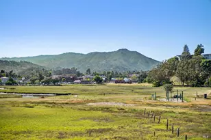 110 Seminary Dr, Mill Valley, CA 94941 - Photo 50