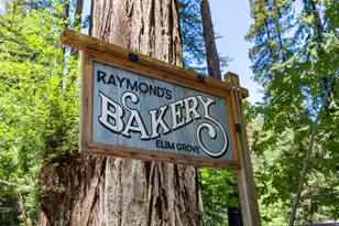 1585 Cazadero Hwy, Cazadero, CA 95421 - Photo 48