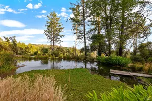 3250 Trinity Rd, Glen Ellen, CA 95442 - Photo 56