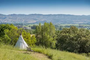 3075 Dry Creek Rd, Napa, CA 94558 - Photo 44