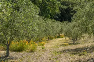 3075 Dry Creek Rd, Napa, CA 94558 - Photo 42