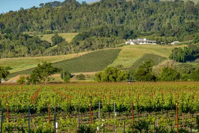 3075 Dry Creek Road, Napa, CA 94558 - Photo 46