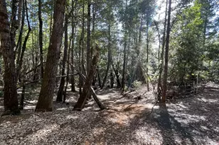 53800 Hwy 101, Laytonville, CA 95454 - Photo 1