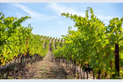 3800 Jameson Canyon Road, Napa, CA 94558 - Photo 12