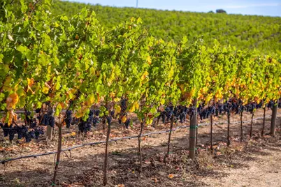 3800 Jameson Canyon Road, Napa, CA 94558 - Photo 14