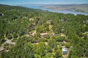 95 Sunnyside Dr, Inverness, CA 94937 - Photo 44