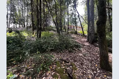 1670 Lilac Lane, Willits, CA 95490 - Photo 6