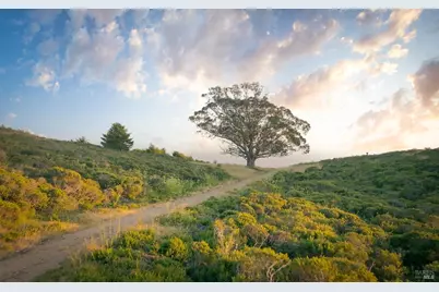 215 Belvedere Avenue, Stinson Beach, CA 94970 - Photo 2