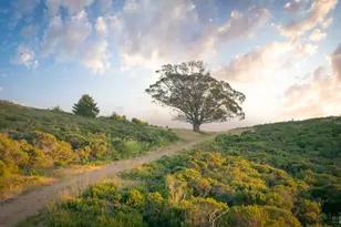215 Belvedere Ave, Stinson Beach, CA 94970 - Photo 2