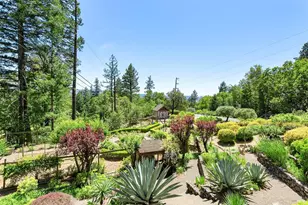 4461 Lake County Hwy, Calistoga, CA 94515 - Photo 36