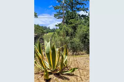 9545 Valle Vista Road, Forestville, CA 95436 - Photo 50