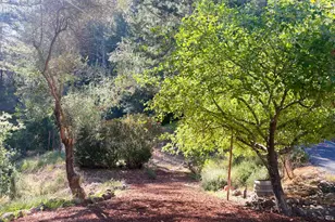 5221 Gates Rd, Santa Rosa, CA 95404 - Photo 38