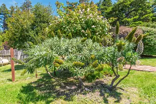 [Address not provided], Gualala, CA 95445 - Photo 42