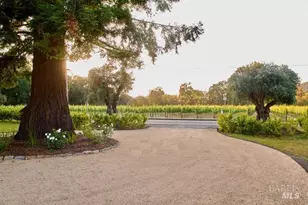1015 Bale Ln, Calistoga, CA 94515 - Photo 28