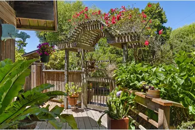 385 Cedar Road, Bolinas, CA 94924 - Photo 6