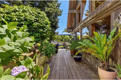 385 Cedar Road, Bolinas, CA 94924 - Photo 8