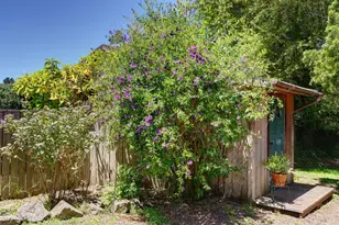 385 Cedar Rd, Bolinas, CA 94924 - Photo 64