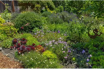 385 Cedar Road, Bolinas, CA 94924 - Photo 42