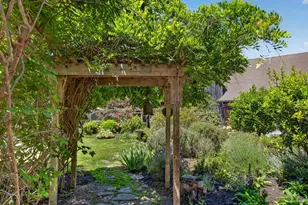 385 Cedar Rd, Bolinas, CA 94924 - Photo 54