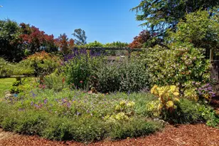 385 Cedar Rd, Bolinas, CA 94924 - Photo 40