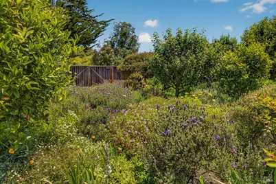 385 Cedar Road, Bolinas, CA 94924 - Photo 40