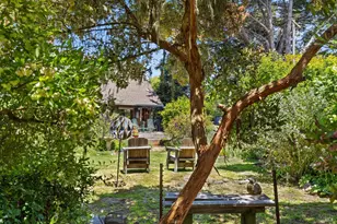 385 Cedar Rd, Bolinas, CA 94924 - Photo 52
