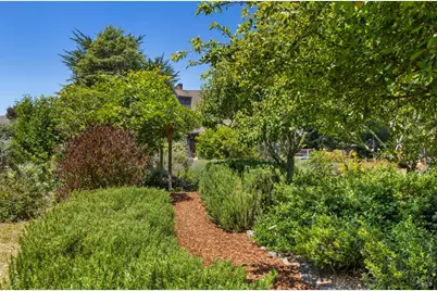 385 Cedar Road, Bolinas, CA 94924 - Photo 52