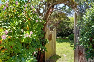 385 Cedar Rd, Bolinas, CA 94924 - Photo 48