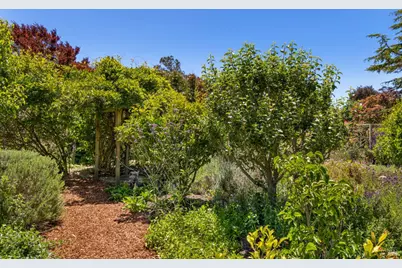 385 Cedar Road, Bolinas, CA 94924 - Photo 54
