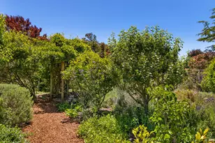 385 Cedar Rd, Bolinas, CA 94924 - Photo 54