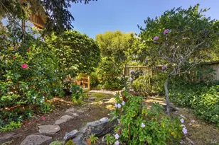 385 Cedar Rd, Bolinas, CA 94924 - Photo 50