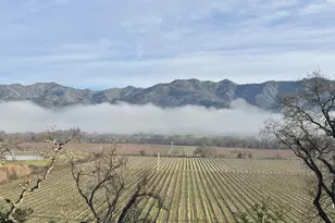 1387 Tucker Rd, Calistoga, CA 94515 - Photo 66