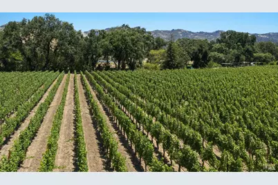 4210 Saint Helena Highway, Calistoga, CA 94515 - Photo 8