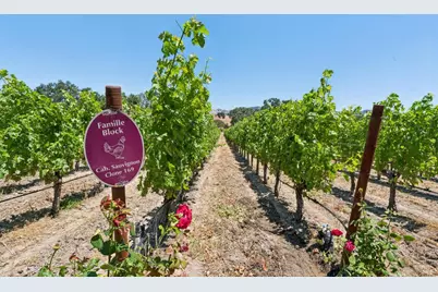 4210 Saint Helena Highway, Calistoga, CA 94515 - Photo 10