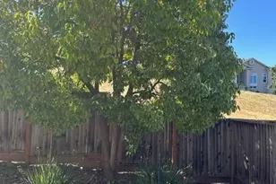 1944 Cooper Dr, Santa Rosa, CA 95404 - Photo 32
