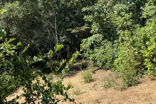 496 Oak Brook Ct, Santa Rosa, CA 95409 - Photo 16