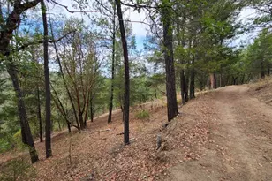 [Address not provided], Covelo, CA 95428 - Photo 12