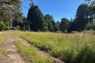 2901 Albion Ridge B Rd, Albion, CA 95410 - Photo 4