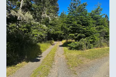 2901 Albion Ridge B Road, Albion, CA 95410 - Photo 8