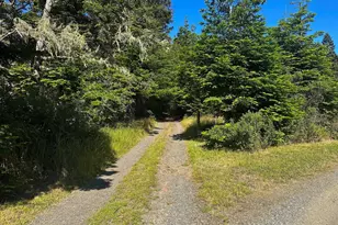2901 Albion Ridge B Rd, Albion, CA 95410 - Photo 8