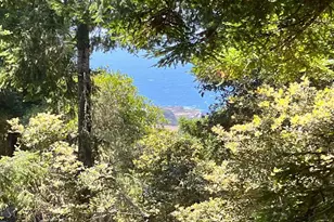 241 Moonraker Rd, The Sea Ranch, CA 95497 - Photo 50