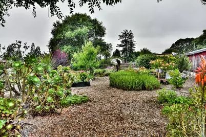 704 Bloomfield Road, Sebastopol, CA 95472 - Photo 44