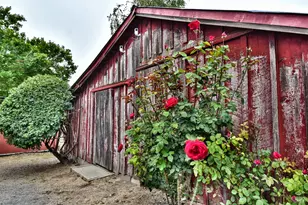 704 Bloomfield Rd, Sebastopol, CA 95472 - Photo 28